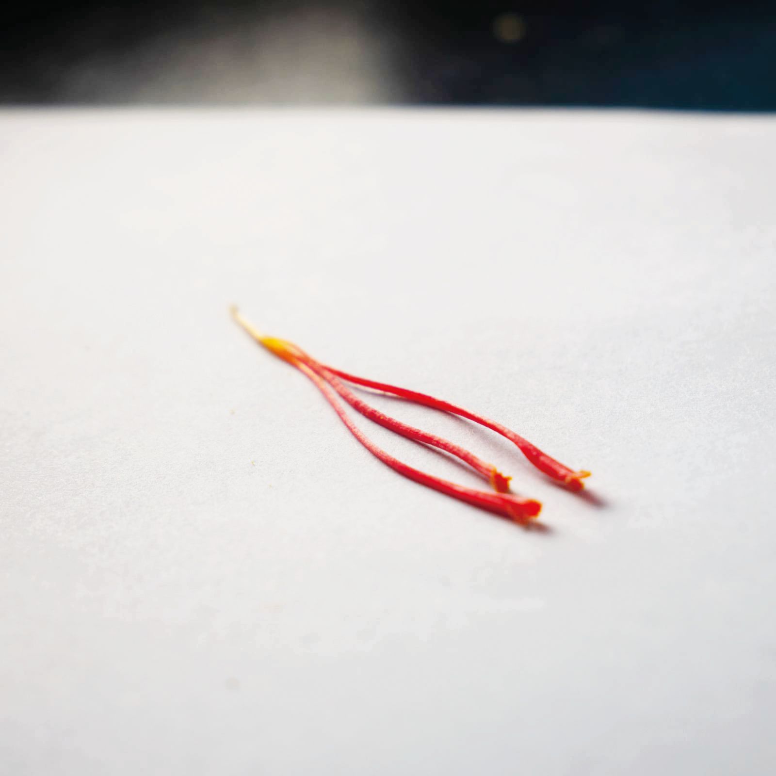 WhatsApp Image 2023-10-24 at 16.30.50